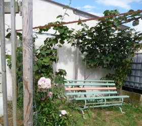 Gîte la Cotterie, Mai 2011 Loches, Gite rural de france - 37